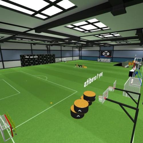 Arena Image