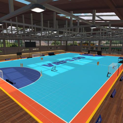 Arena Image