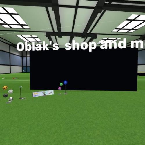Arena Image