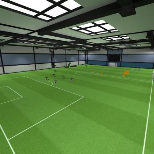 Arena Image