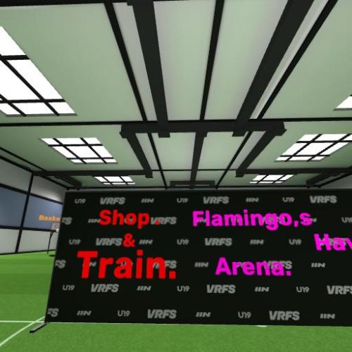 Arena Image