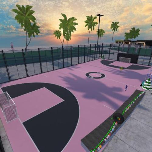 Arena Image