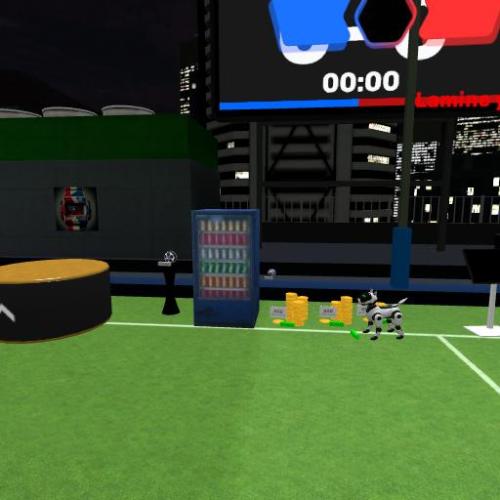 Arena Image