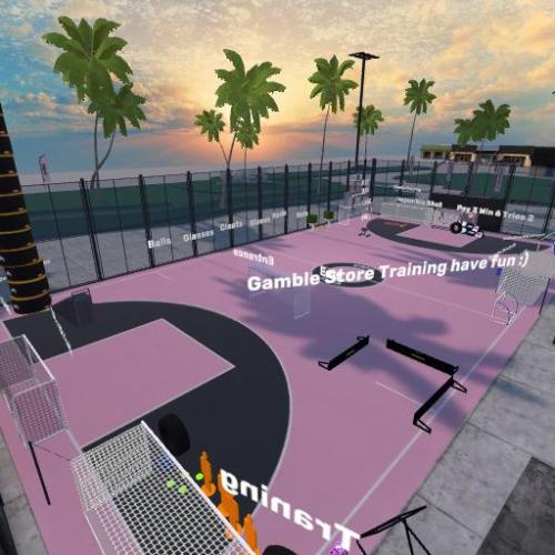 Arena Image