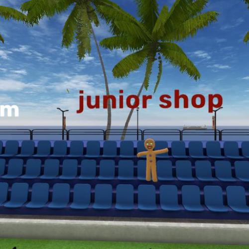 Arena Image