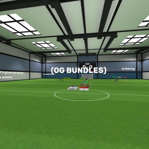 Arena Image