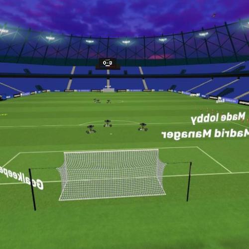 Arena Image