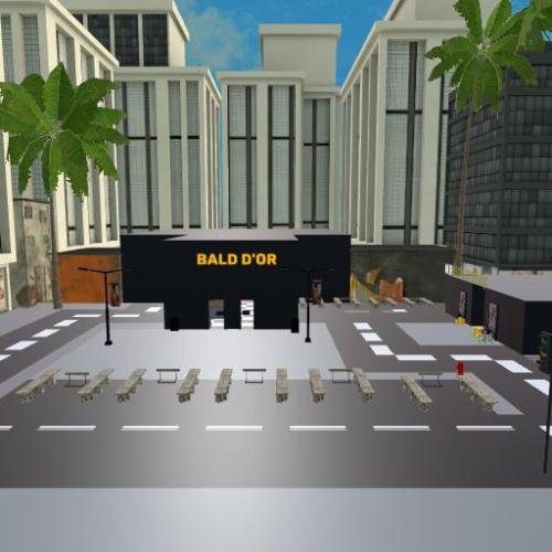 Arena Image