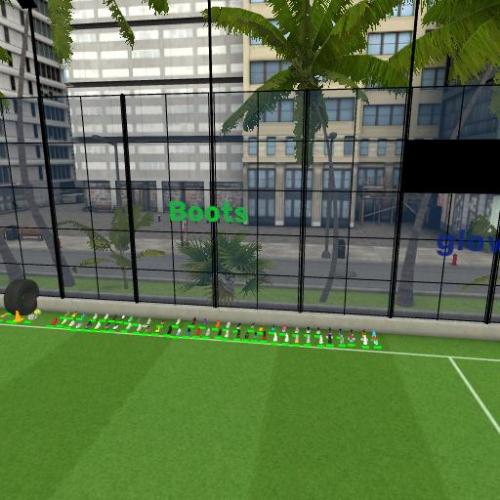 Arena Image
