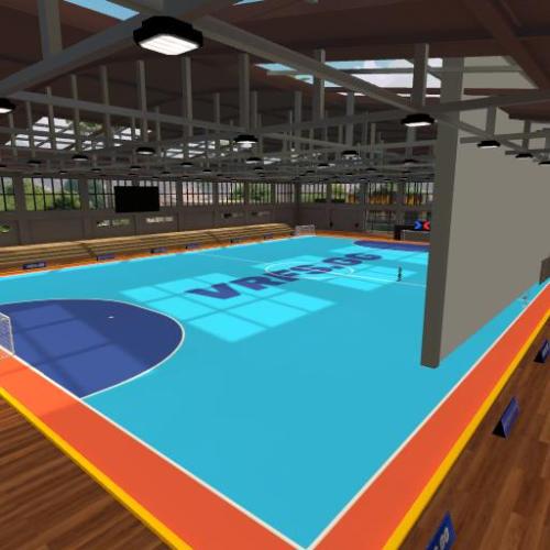 Arena Image