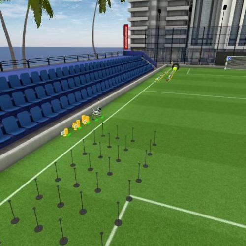 Arena Image