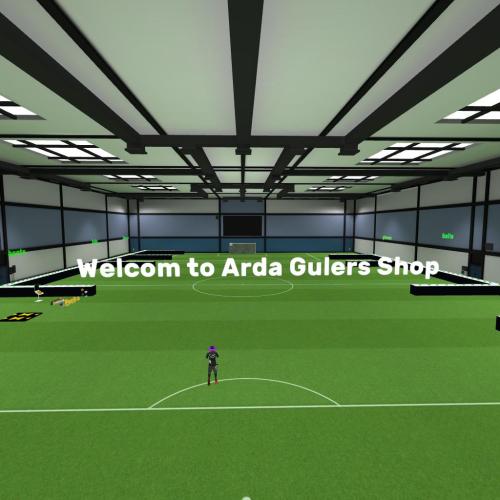 Arena Image