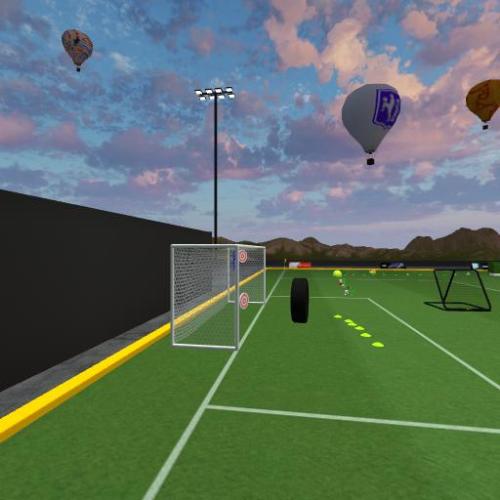 Arena Image
