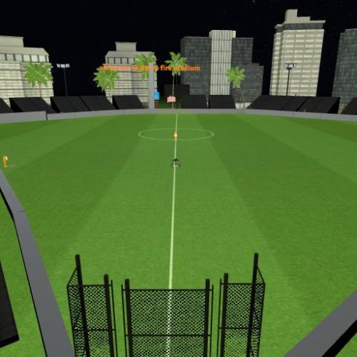 Arena Image