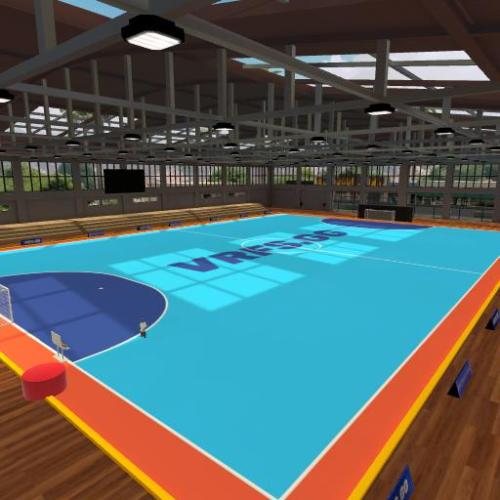 Arena Image