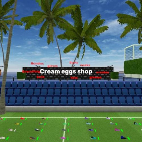 Arena Image