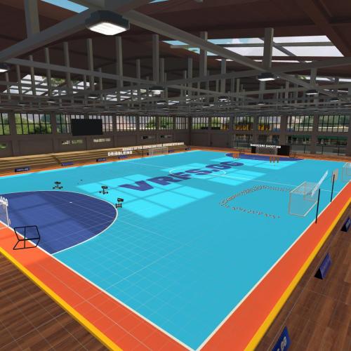 Arena Image