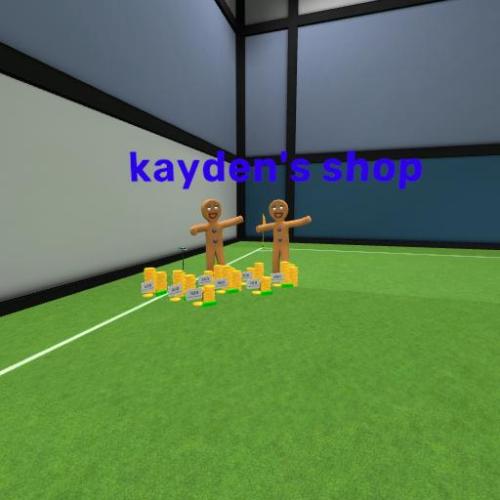 Arena Image