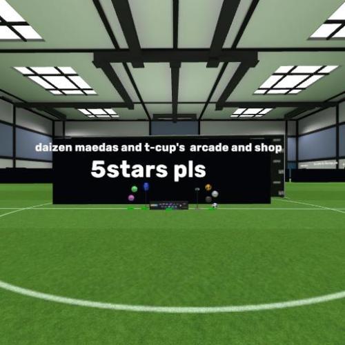 Arena Image