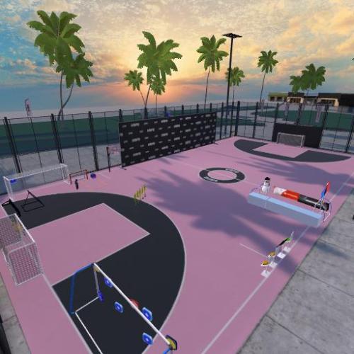 Arena Image