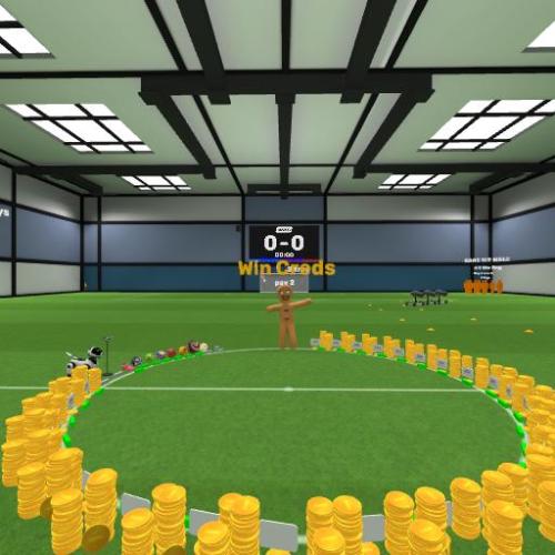 Arena Image