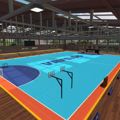 Arena Image