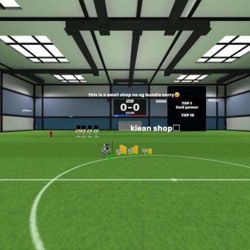 Arena Image