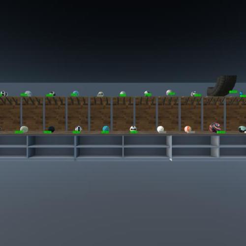 Arena Image