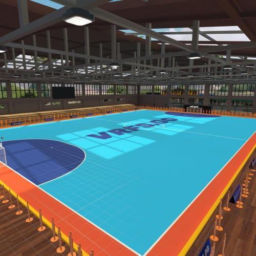 Arena Image
