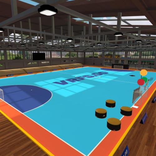 Arena Image