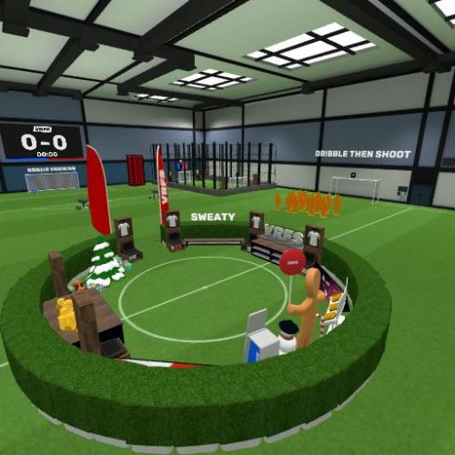 Arena Image