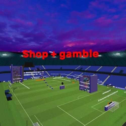 Arena Image