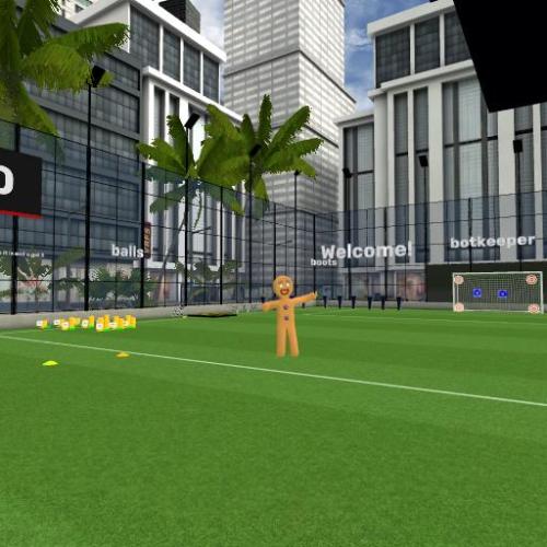 Arena Image