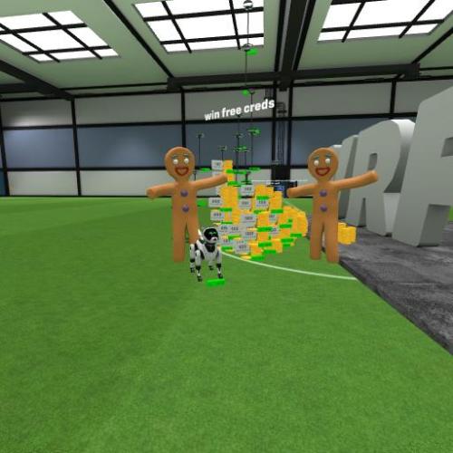 Arena Image