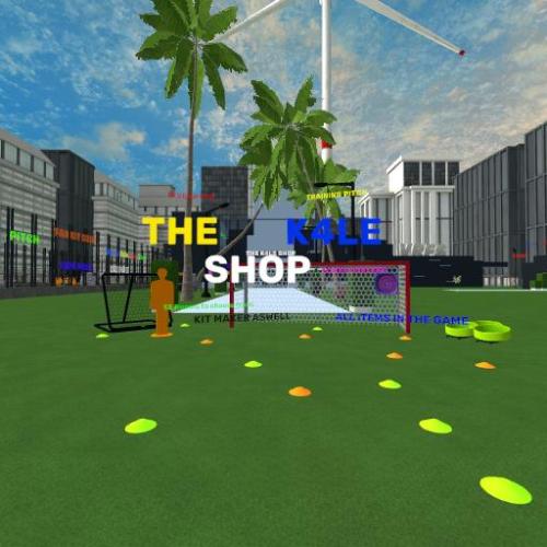 Arena Image