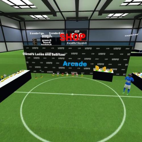 Arena Image