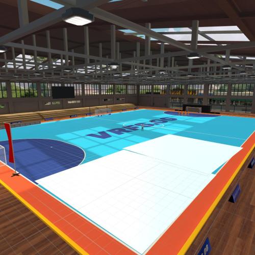 Arena Image