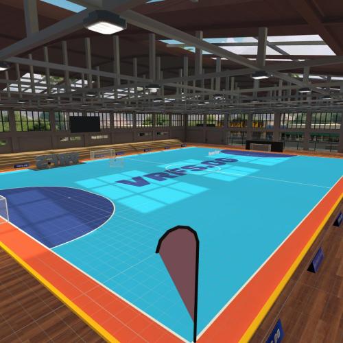Arena Image