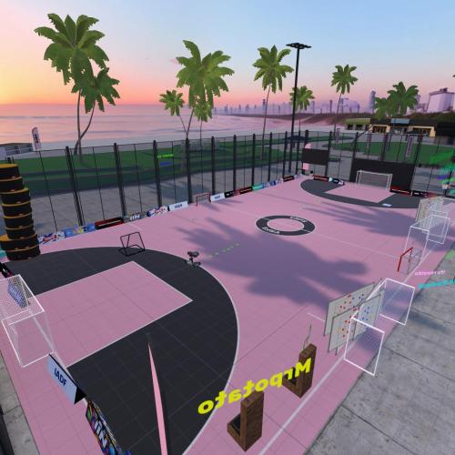 Arena Image
