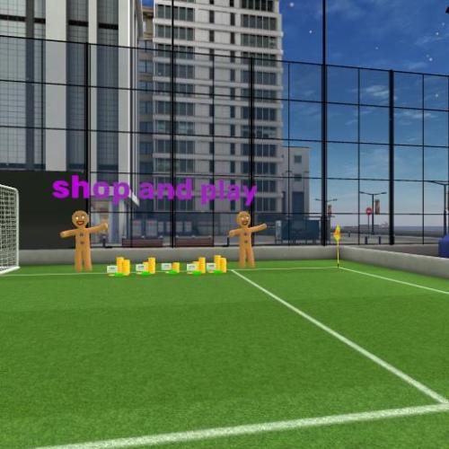Arena Image