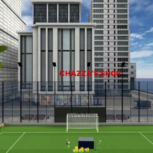Arena Image