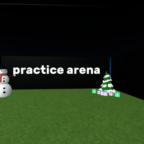 Arena Image