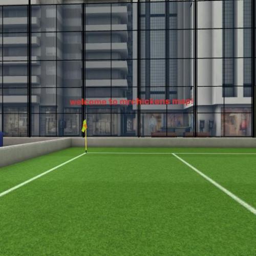 Arena Image