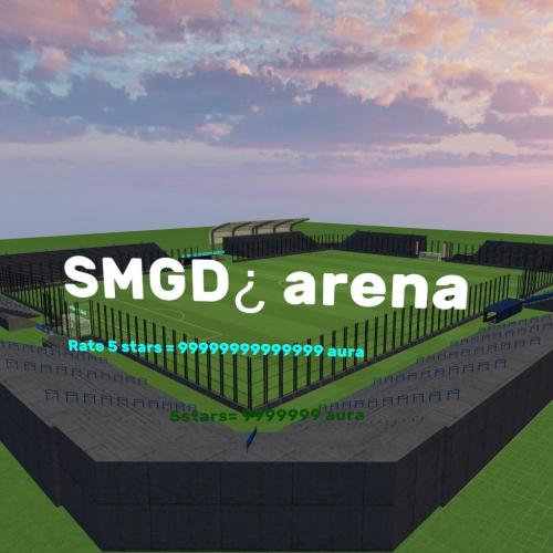 Arena Image
