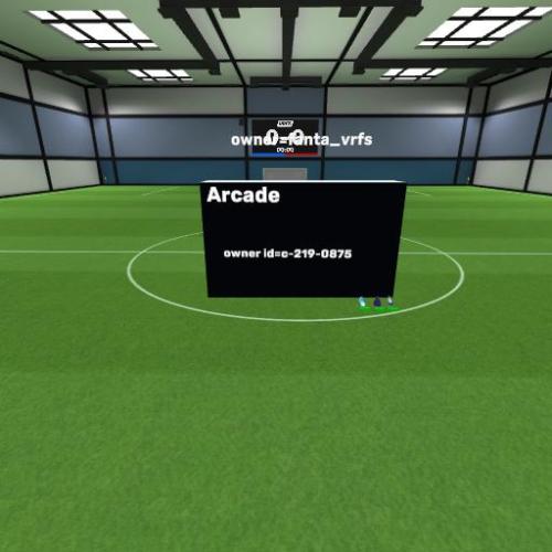 Arena Image
