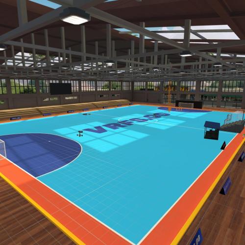 Arena Image