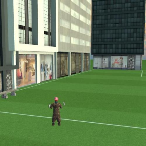 Arena Image