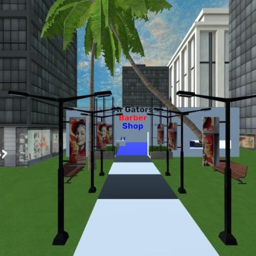 Arena Image