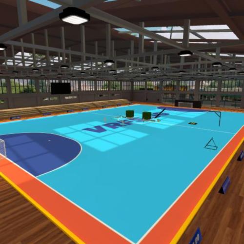 Arena Image