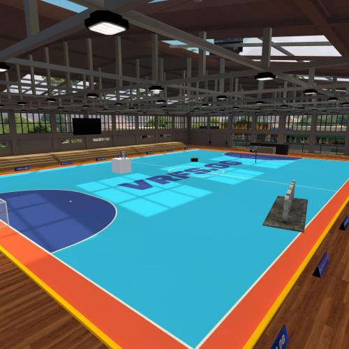 Arena Image